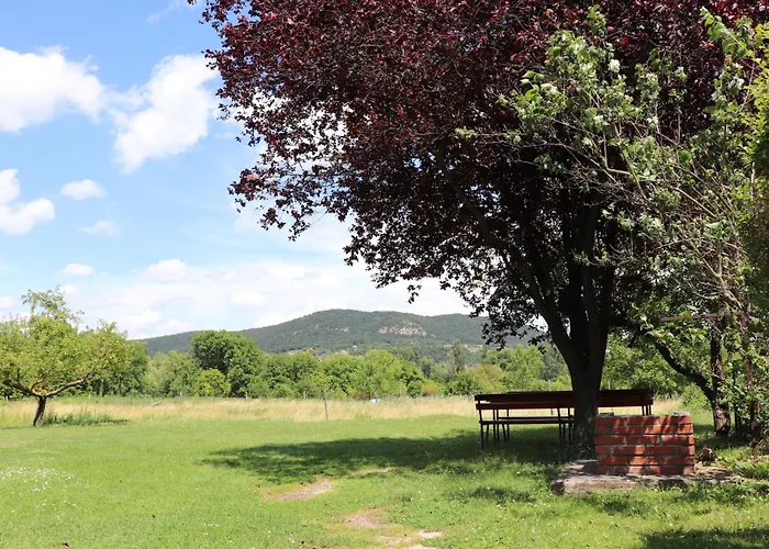 Badacsony Apartmanhaz Апартаменты *